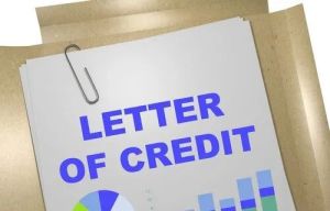 Letter of Credit Consultancy Services