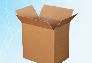 Disposable Kraft Corrugated Box