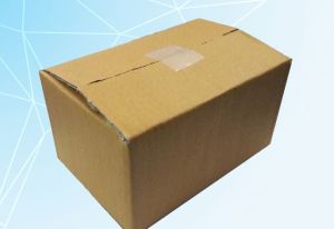 Food Packaging Kraft Corrugated Box