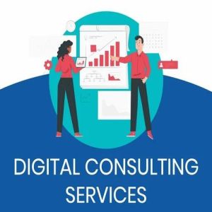 Digital Media Consulting Service