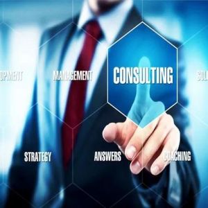 IT Consultancy Service