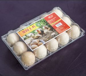 Plastic Egg Trays