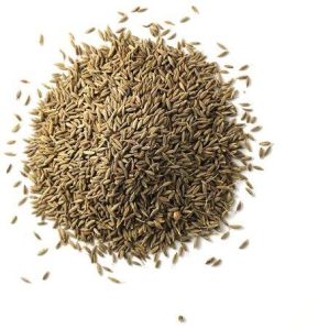 Cumin Seed