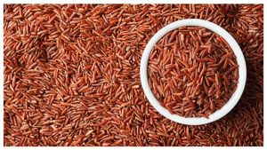 Red rice