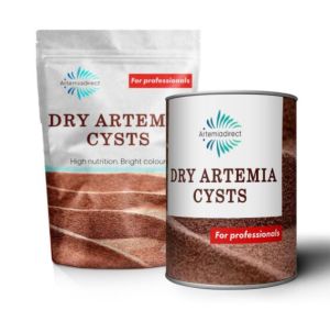 Dry Artemia cysts