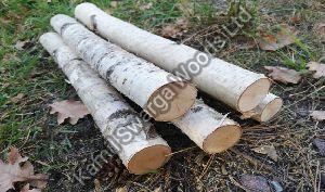 European Beech Logs