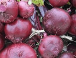 Fresh Beetroot