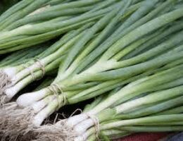 Fresh Green Onion