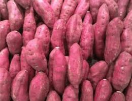 Fresh Sweet Potato