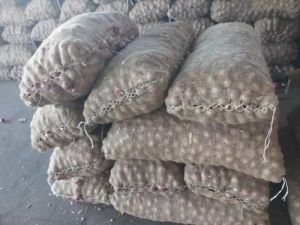 Jute Gunny Bag