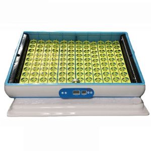 120 Egg Incubator