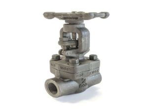 Forged Steel Gate Valve Screwed End and Socket Weld