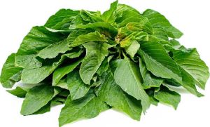 Fresh Green Amaranth Leaves