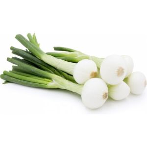 Fresh Spring Onion