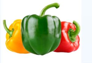 natural capsicum