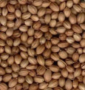 Badami Coriander Seeds