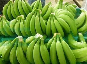 Fresh Cavendish Banana