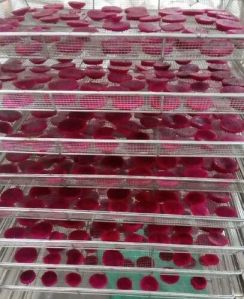 dehydrated dragon fruit