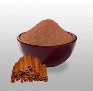 Cinnamon Dalchini Powder