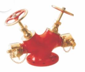 Double Outlet Landing Valve