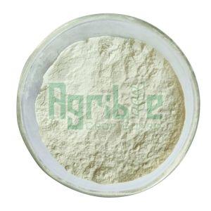 Ferrous Sulphate Monohydrate 31%