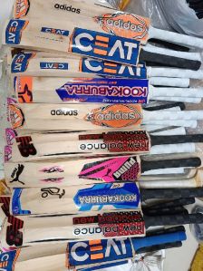 kashmir willow bats kids