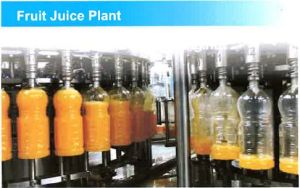 Fruit Juice Plant