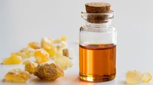 boswellia oil