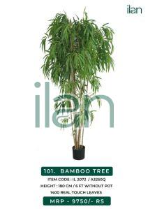 bamboo tree