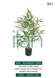 2158 bamboo tree plants