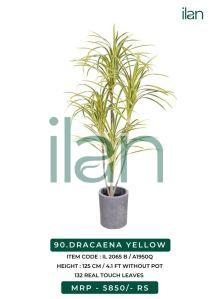 dracaena yellow artificial plants