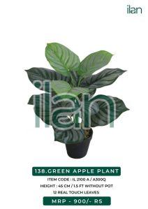 green apple decorative plant