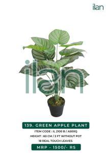 green apple decorative plant 2100 b