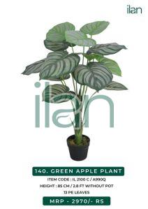 green apple decorative plant 2100 c
