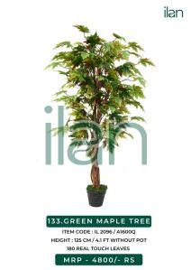 green maple decorative tree 2096