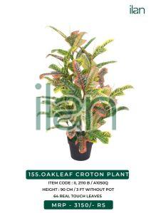 OAKLEAF CROTON PLANT 2110 B