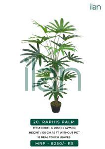 raphis palm 2012 c artificial plants