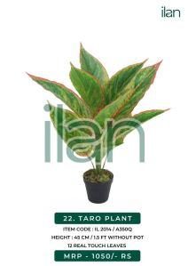 TARO PLANT 2014