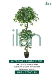 topiary panda ficus 2025 b artificial plants