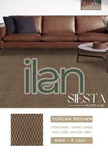 tuscan brown carpet