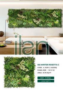 winter rosetta c artificial green walls