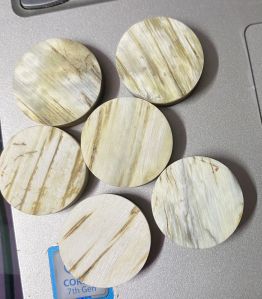 african white skin button blanks