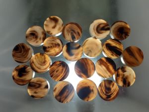 Buffalo Horn Button Blank