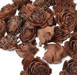 Dried Cedar Rose