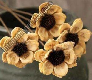 Dried Sunflower with Stick