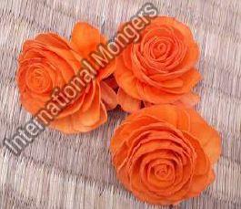 Sola Normal Beauty Rose Flower
