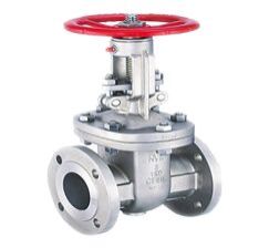 A351 CN7M Alloy 20 Gate Valve