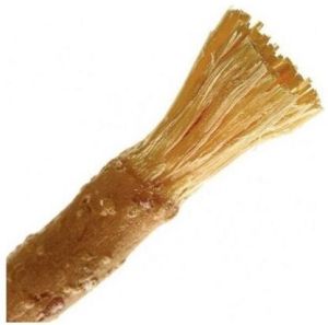 Herbal Toothbrush Miswak Stick