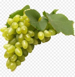 Fresh Grapes