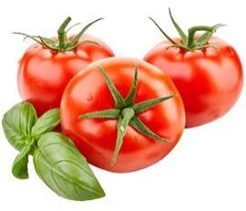 Tomato